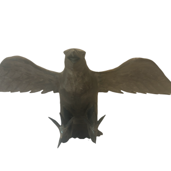 عقاب فولادی-کدF-T00935